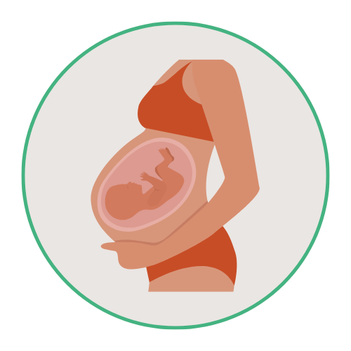 Categoria gravidanza e allattamento