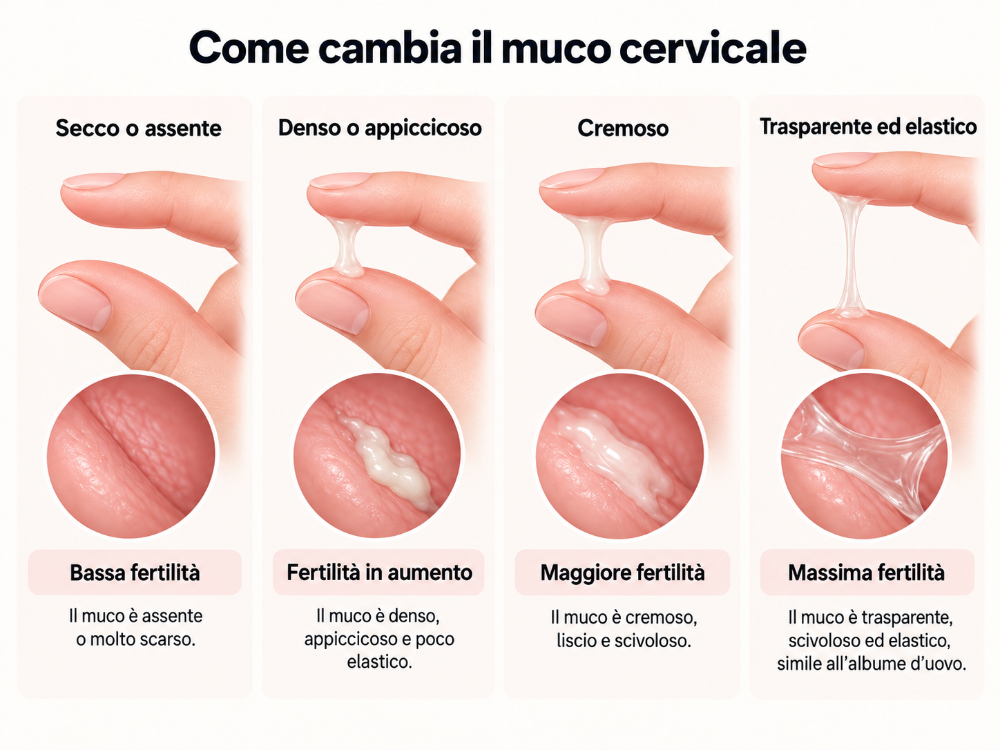 Come cambia il muco cervicale