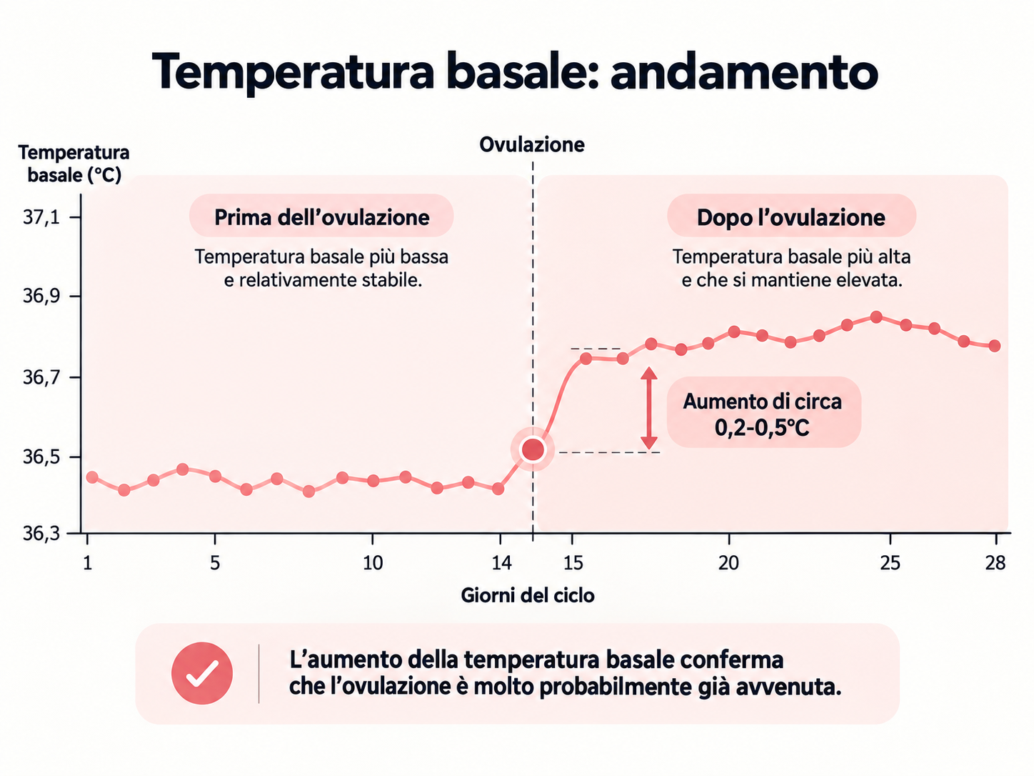 Temperatura basale: guarda l’andamento, non il singolo numero