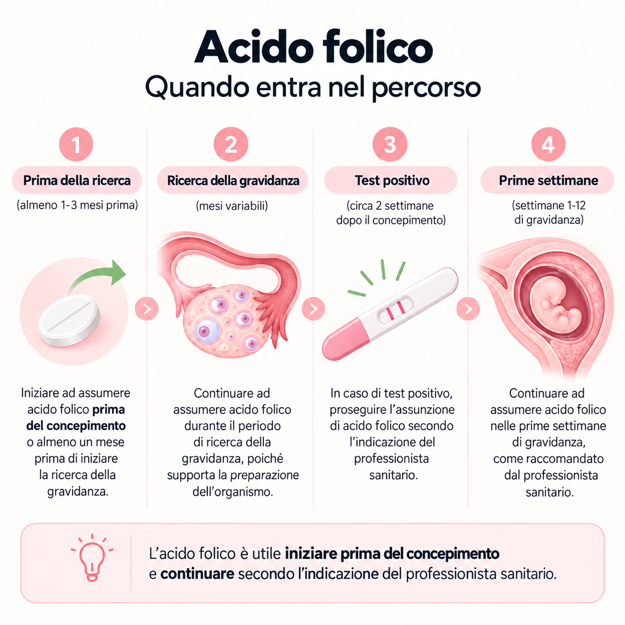 Acido folico: quando entra nel percorso